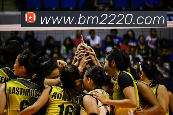 APP界面展示